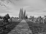 Cemetery, Bolton - 25.03.08 (1)